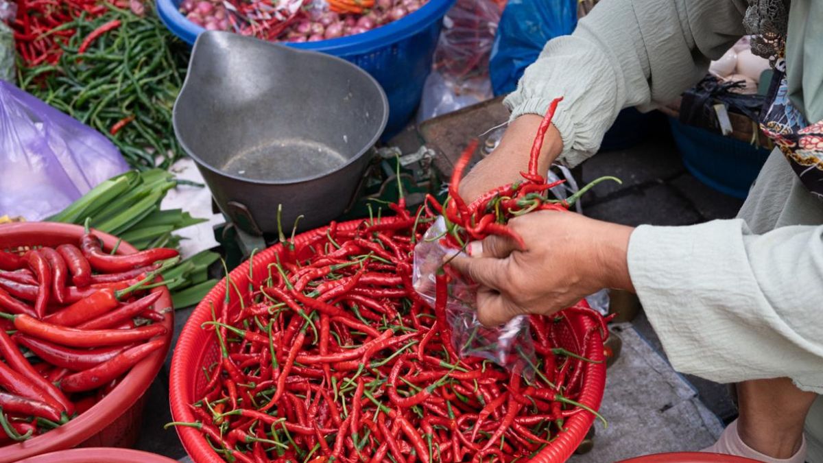 Harga Cabai Merah di Sumut Naik, Kepulauan Nias Tertinggi Rp40 Ribu per Kilogram
